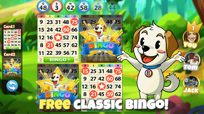 free classic bingo-BingoJourney